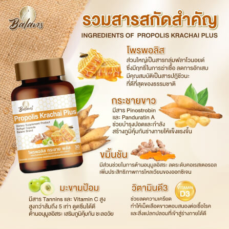 บาลานส์ โพรพอลิส กระชาย พลัส 30 แคปซูล_3